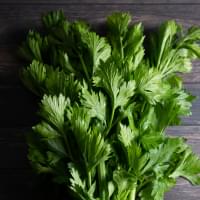 Parsley Leaf.